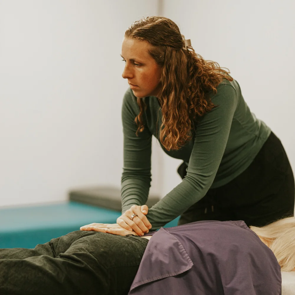 follow up chiropractic visit in new ulm